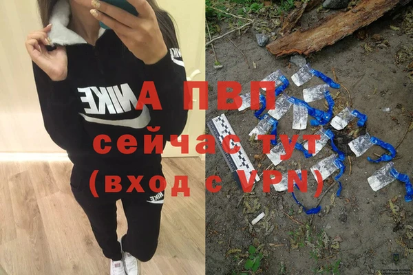 прущие грибы Богородицк